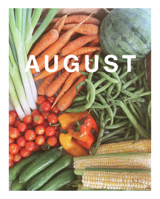 Summer Subscription - August Trial