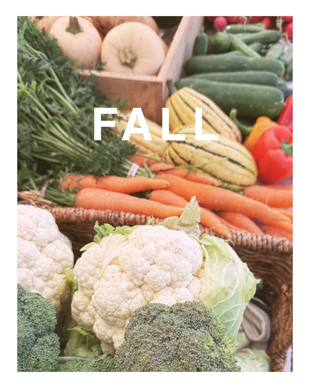 Fall CSA (8 Weeks)