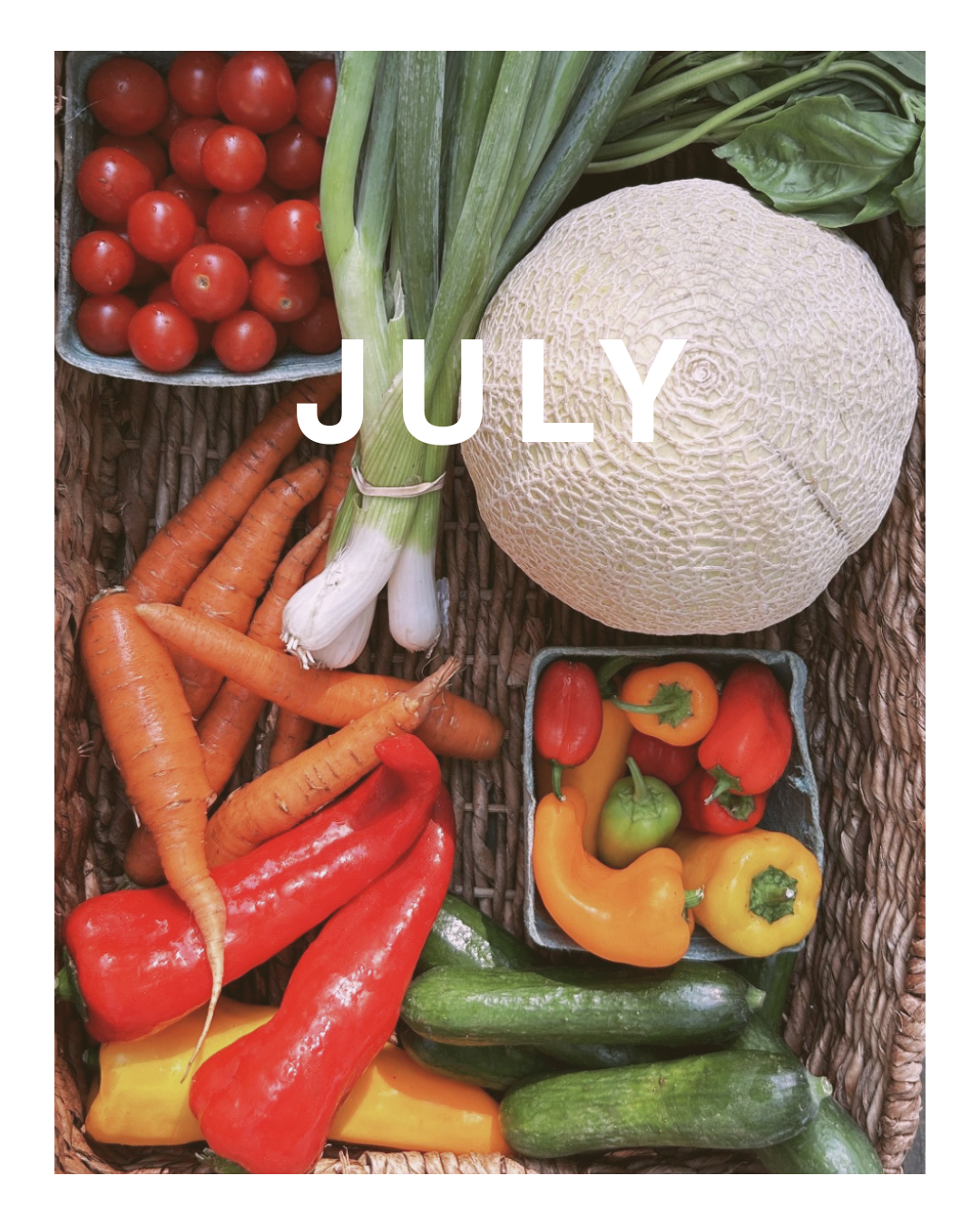 Summer Subscription - July Trial